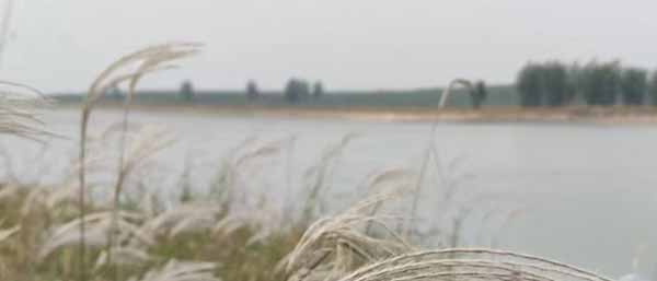 沈阳环境检测公司提供的主要环境检测服务